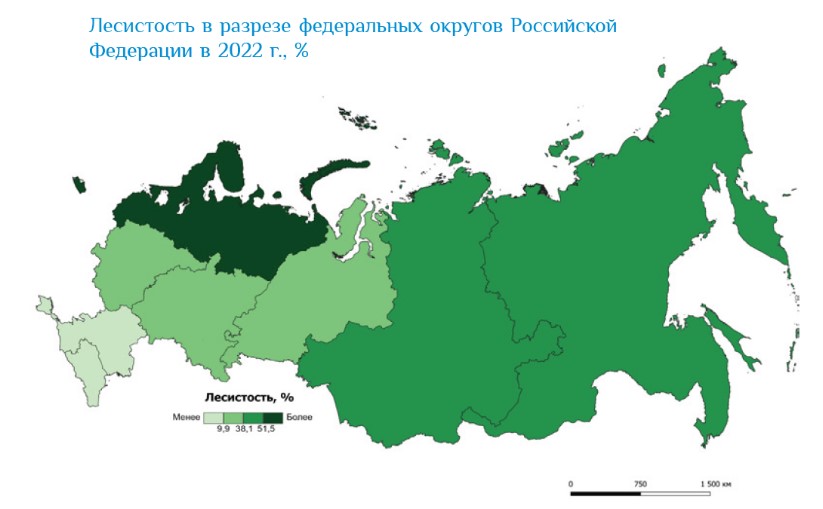 Состояние лесных ресурсов в России