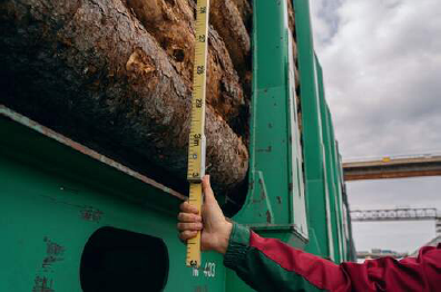 Изображение выглядит как небо, на открытом воздухе, человек, веревка
Содержимое, созданное искусственным интеллектом, может быть неверным.