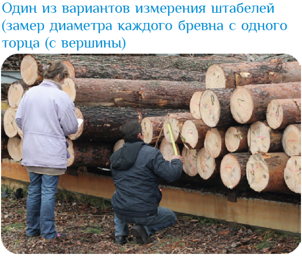 Изображение выглядит как одежда, джинсы, человек, Заготовка леса

Содержимое, созданное искусственным интеллектом, может быть неверным.