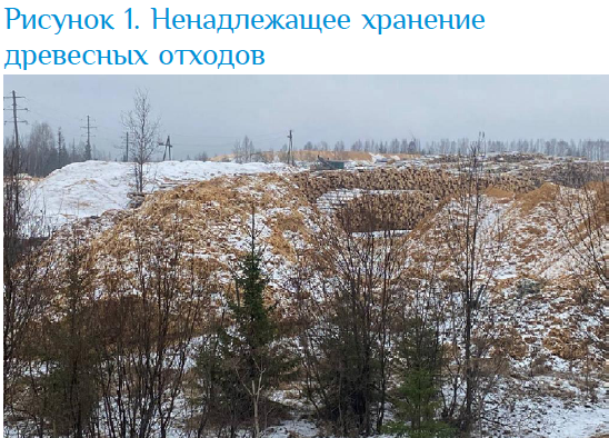Изображение выглядит как снег, на открытом воздухе, дерево, природа

Содержимое, созданное искусственным интеллектом, может быть неверным.