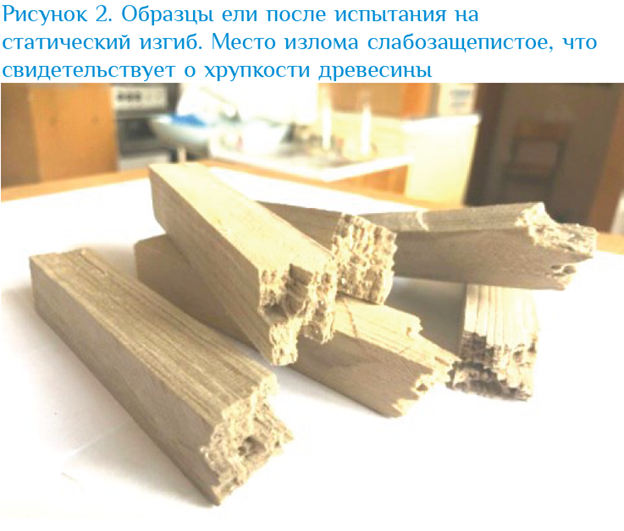 Изображение выглядит как Деревянный блок, деревянный, в помещении, дерево

Содержимое, созданное искусственным интеллектом, может быть неверным.
