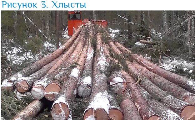 Изображение выглядит как дерево, зима, снег, на открытом воздухе
Содержимое, созданное искусственным интеллектом, может быть неверным.