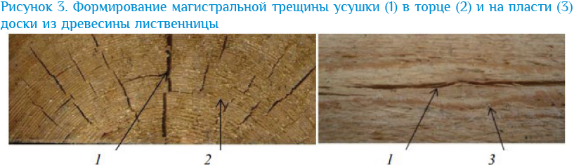 Изображение выглядит как снимок экрана, линия, коричневый, дерево

Автоматически созданное описание